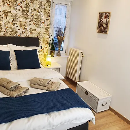 Mirka & Franck Aircon Clim, Chic, Garage & Parking Free Included Colmar