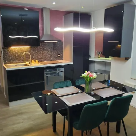 Mirka & Franck Aircon Clim, Chic, Garage & Parking Free Included * קולמר
