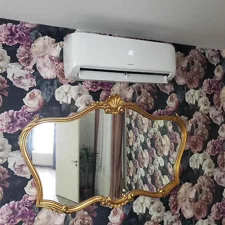 Mirka & Franck Aircon Clim, Chic, Garage & Parking Free Included * Colmar