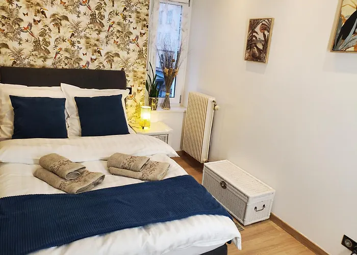 Mirka & Franck Aircon Clim, Chic, Parking Free, Avantages Packs Bookables Colmar