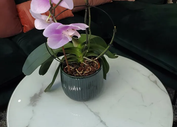 Mirka & Franck Aircon Clim, Chic, Parking Free, Avantages Packs Bookables Daire