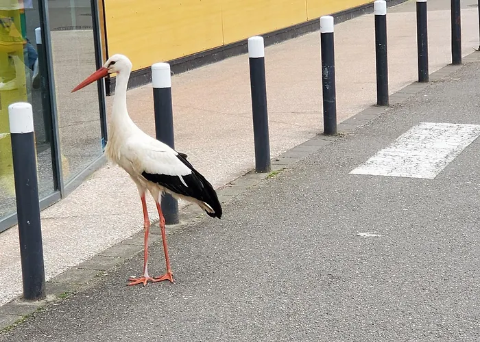 Mirka & Franck Aircon Clim, Chic, Parking Free, Avantages Packs Bookables