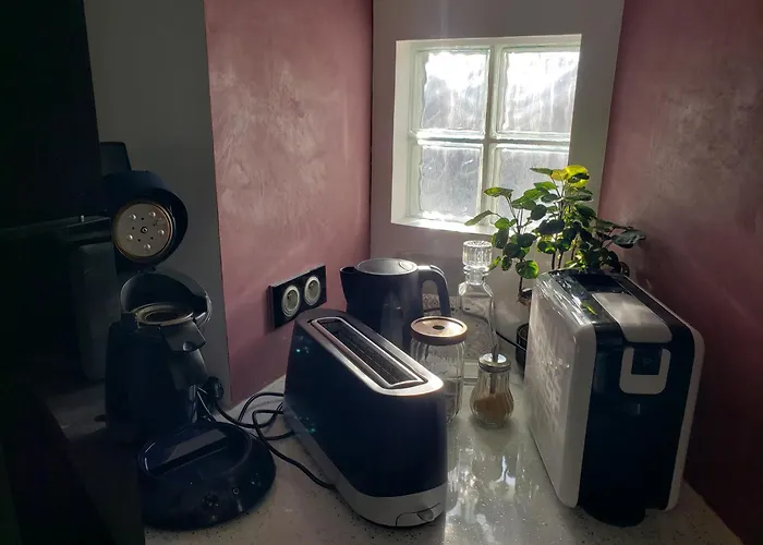 Mirka & Franck Aircon Clim, Chic, Parking Free, Avantages Packs Bookables Colmar